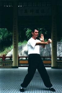 Wing Chun vertical straight punch