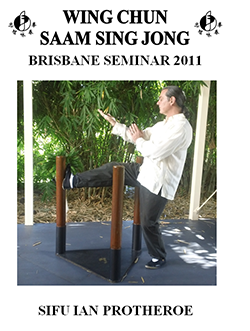 Wing Chun’s Saam Sing Jong dvd cover